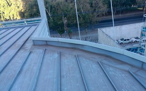 Control de Plagas de Palomas